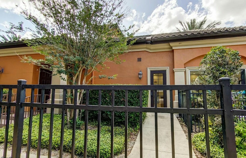 Black Bear Wanders Into Gated Orlando Complex, Police Steer It Into Lake Debra