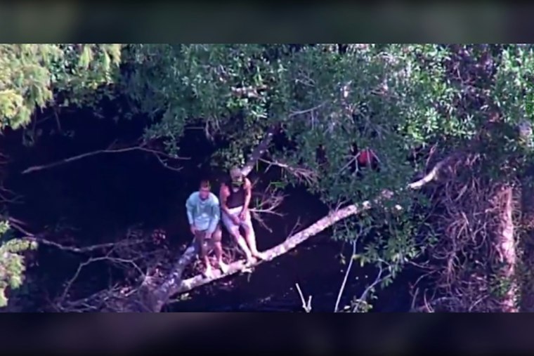 Boaters Cling to Tree Limb After Capsizing on Hillsborough River Near Morris Bridge Park