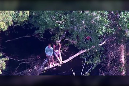 Boaters Cling to Tree Limb After Capsizing on Hillsborough River Near Morris Bridge Park