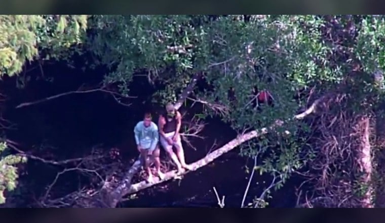 Boaters Cling to Tree Limb After Capsizing on Hillsborough River Near Morris Bridge Park