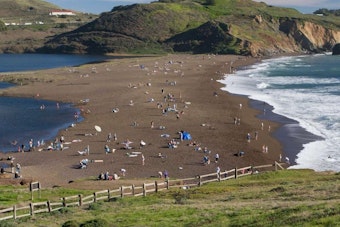 Body Found Below Rodeo Beach Cliffs as Marin Mystery Deepens