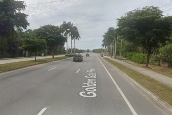 Body Found in Wood Line Along Golden Gate Parkway Sparks Death Investigation