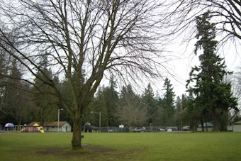 Body Found Near Everett's Forest Park, Police Say Death Not Suspicious