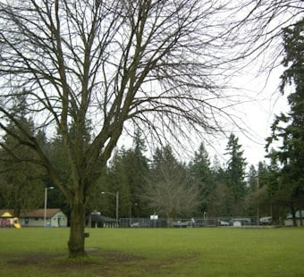 Body Found Near Everett's Forest Park, Police Say Death Not Suspicious