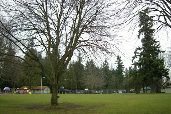 Body Found Near Everett's Forest Park, Police Say Death Not Suspicious
