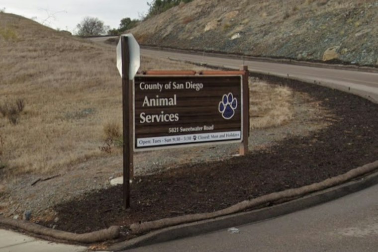 Bonita Dog Freed From Cactus Patch After Days Without Food or Water