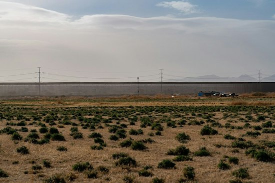 Border Towers Cost Billions, but Over 1,050 People Still Died in Their Range