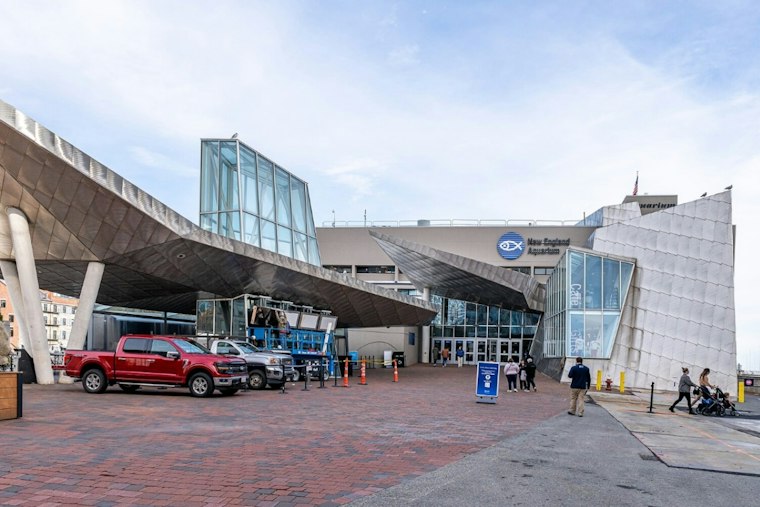 Boston's Adults-Only Aquarium After Dark Returns This Fall After Sellout