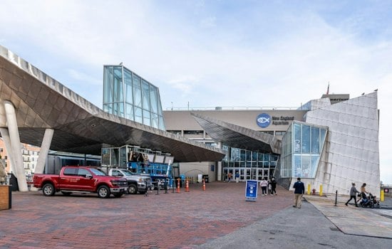 Boston's Adults-Only Aquarium After Dark Returns This Fall After Sellout