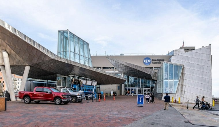 Boston's Adults-Only Aquarium After Dark Returns This Fall After Sellout