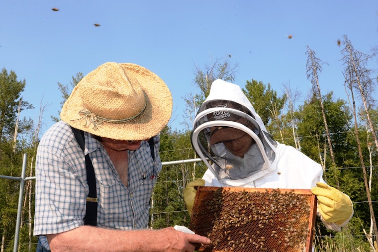 Bowie Veteran Turns 1.2 Million Honeybees Into a Weapon Against PTSD