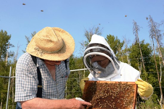 Bowie Veteran Turns 1.2 Million Honeybees Into a Weapon Against PTSD