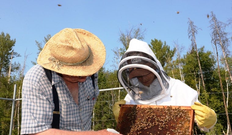 Bowie Veteran Turns 1.2 Million Honeybees Into a Weapon Against PTSD