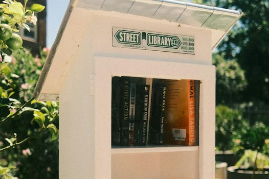 Boy Scout Ben Choate and Troop Build Tiny Library at 5th and Markwell Park