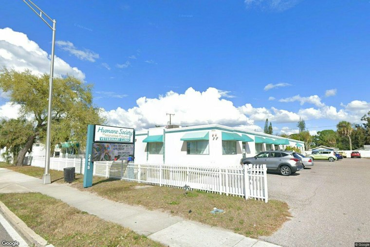 Bradenton Humane Society Plans $13M Overhaul To Replace 1947 Shelter