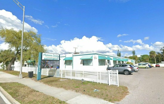 Bradenton Humane Society Plans $13M Overhaul To Replace 1947 Shelter