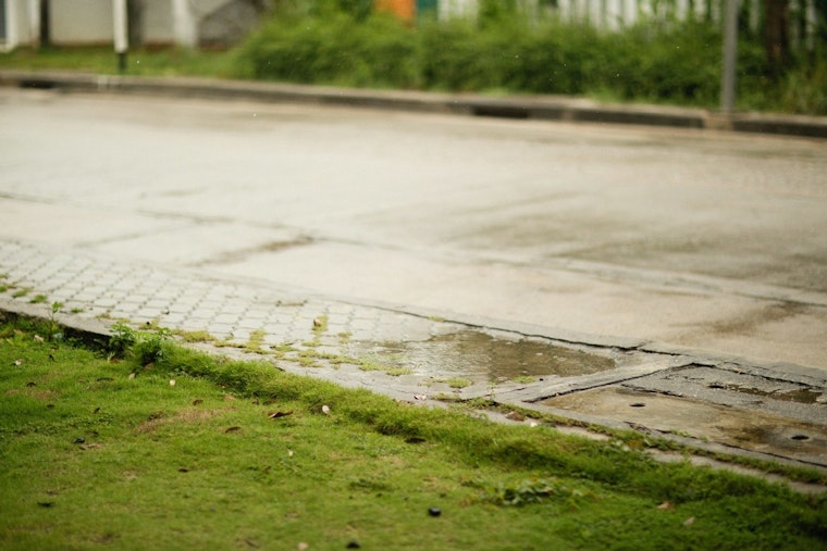 Brentwood Neighbors Say Lunging, Lawn-Fouling Woman Has Nowhere to Turn for Help