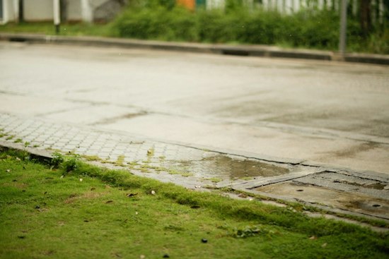 Brentwood Neighbors Say Lunging, Lawn-Fouling Woman Has Nowhere to Turn for Help