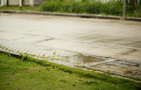 Brentwood Neighbors Say Lunging, Lawn-Fouling Woman Has Nowhere to Turn for Help