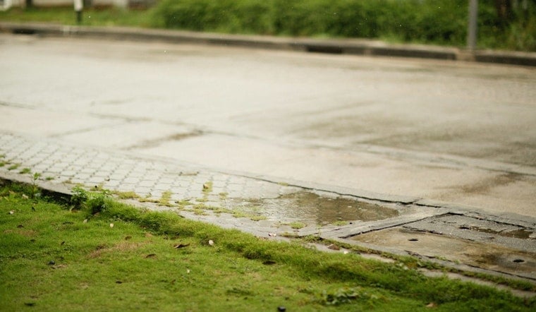 Brentwood Neighbors Say Lunging, Lawn-Fouling Woman Has Nowhere to Turn for Help