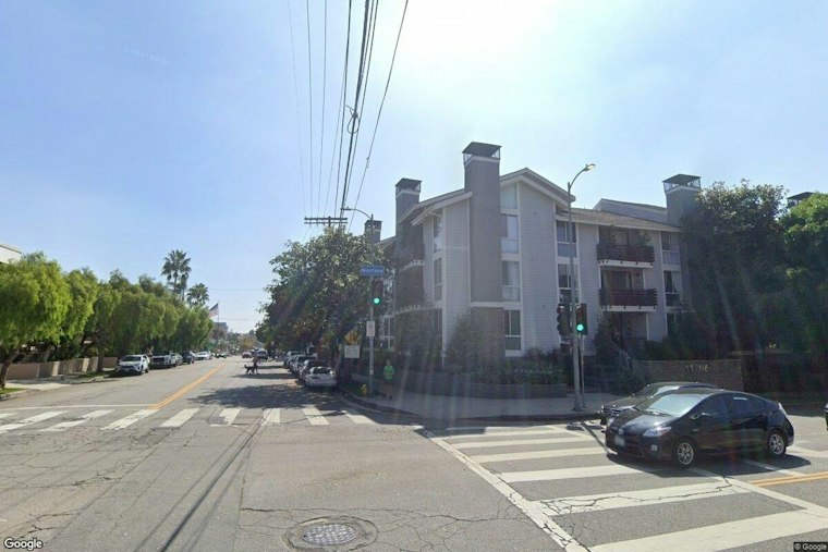 Brentwood Shuts Down San Vicente Boulevard for First-Ever Neighborhood Bash