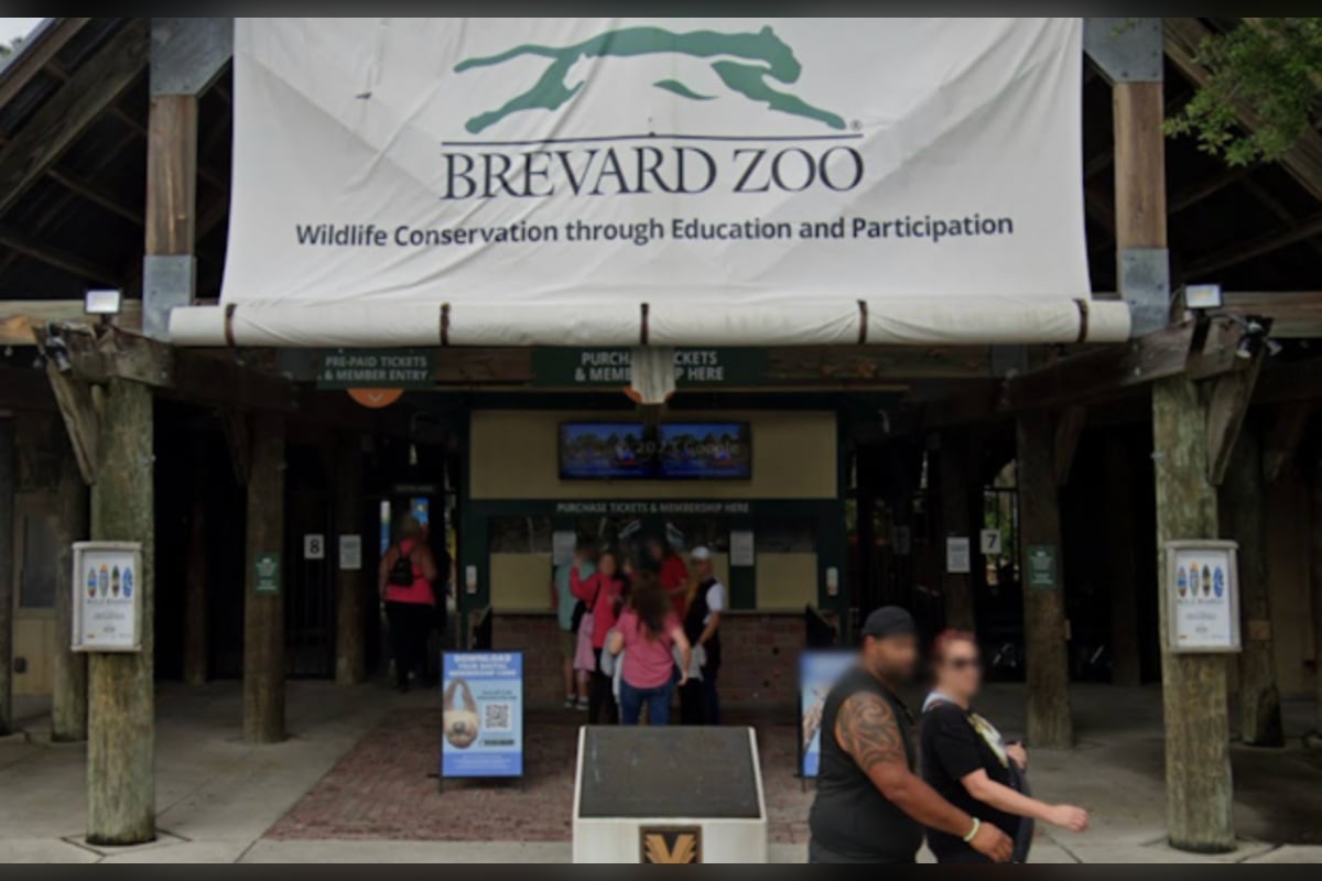 Brevard Zoo Shares Ultrasound as Two Masai Giraffes Near Due Dates