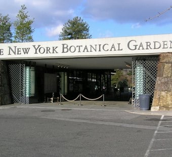 Bronx Garden Debuts First-Ever Día de los Muertos Trail With Giant Catrina