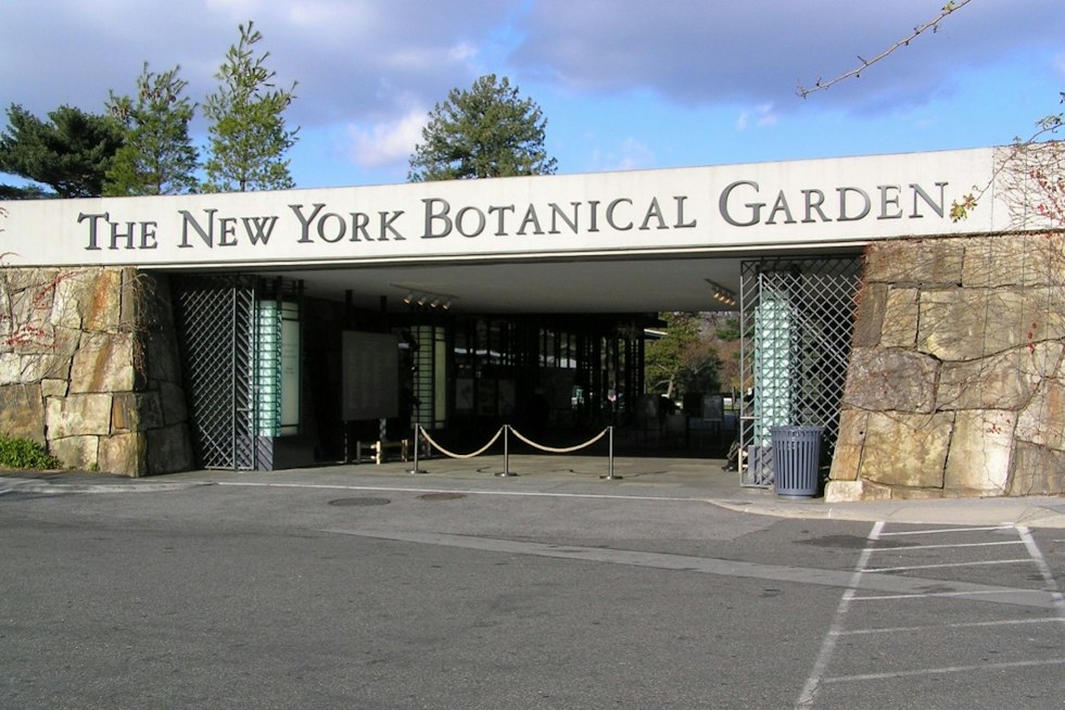 Bronx Garden Debuts First-Ever Día de los Muertos Trail With Giant Catrina