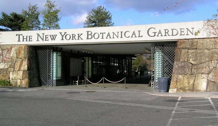 Bronx Garden Debuts First-Ever Día de los Muertos Trail With Giant Catrina