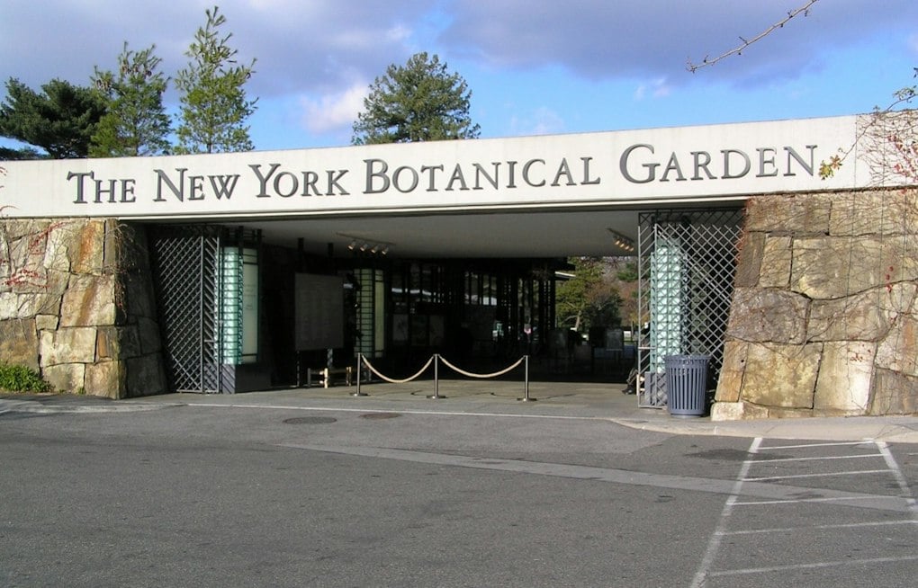 Bronx Garden Debuts First-Ever Día de los Muertos Trail With Giant Catrina