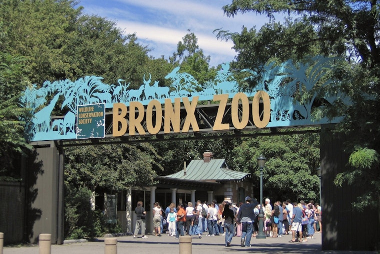 Bronx Zoo's Boo At The Zoo Roars Back Sept. 26 With Puppets, Pumpkins, Games