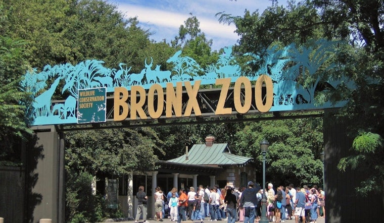 Bronx Zoo's Boo At The Zoo Roars Back Sept. 26 With Puppets, Pumpkins, Games