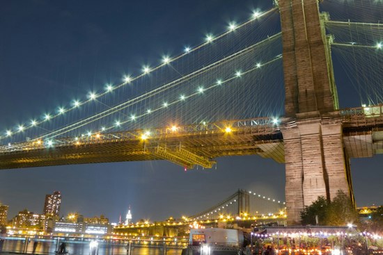 Brooklyn Bridge Glows With Deep-Sea Footage From a Canyon Comparable in Scale to the Grand Canyon