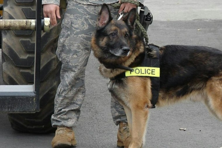 Brooklyn Heights Swears In First K-9, Named for Officer Killed in 2024