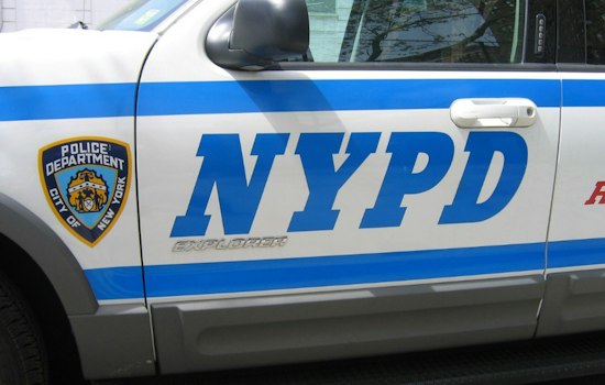 Brooklyn NYPD Detective Docked Vacation Days for Uniform Posts, Unpaid Tickets