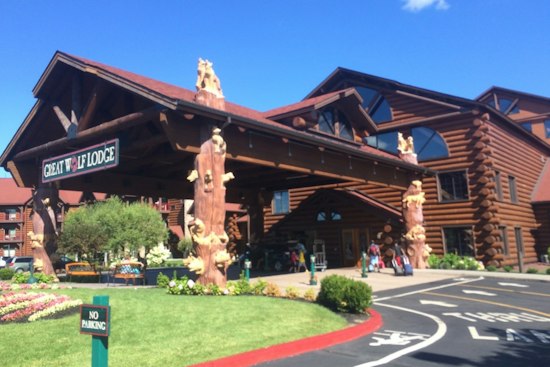 Brooklyn Woman Charged After Hot Coffee Thrown at Poconos Great Wolf Lodge