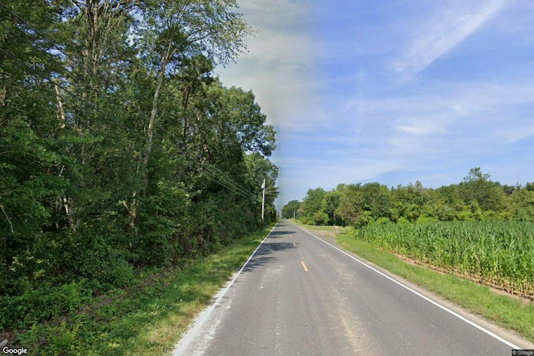 Buena Vista Crash Killed 82-Year-Old — Tesla Records Show Driver-Assist Was On