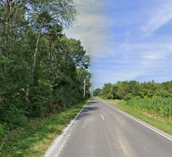 Buena Vista Crash Killed 82-Year-Old — Tesla Records Show Driver-Assist Was On