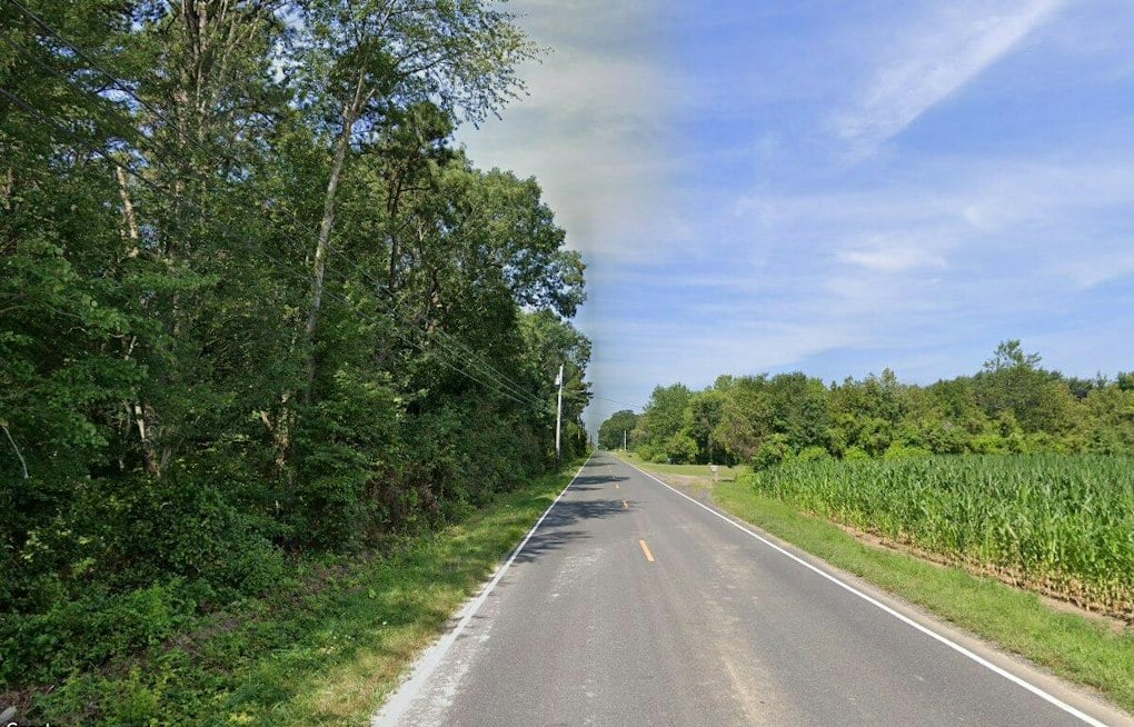 Buena Vista Crash Killed 82-Year-Old — Tesla Records Show Driver-Assist Was On