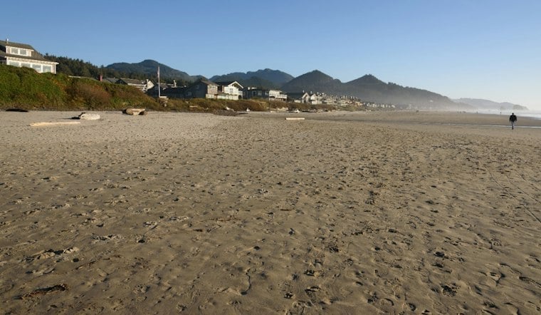 Bull Elk Crashes Cannon Beach Wedding, Strolls Right Up to the Reception Tent