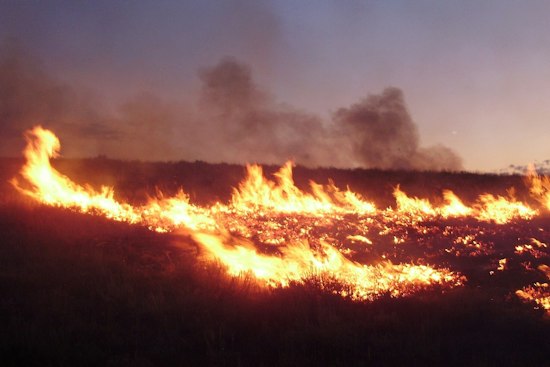 Burrell Fire Held to Just 0.3 Acres on San Diego County Private Land