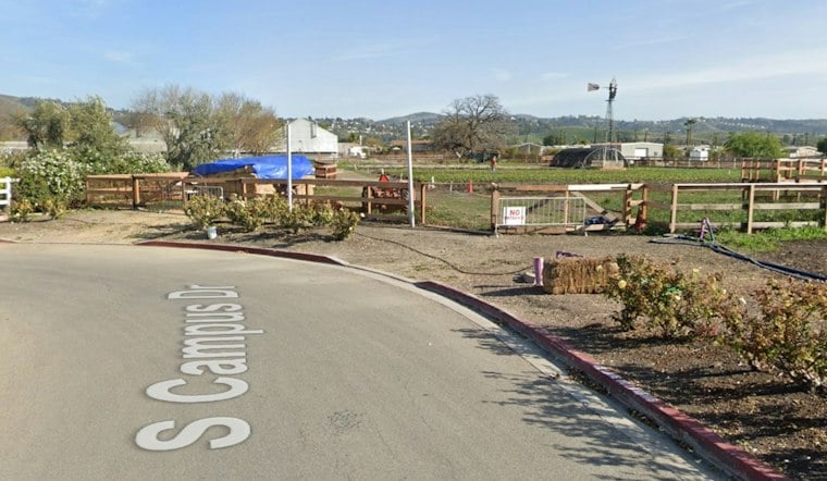 Cal Poly Pomona PumpkinFest Returns With 30,000 Pumpkins and a Cow Train