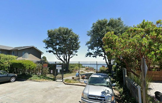 Capitola Paddleboarder Dragged Underwater in Sea Lion Attack Off Pleasure Point