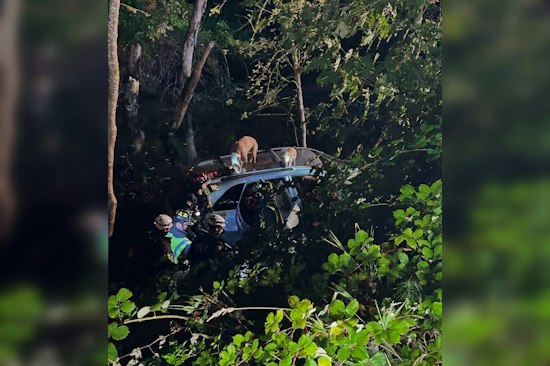 Car Plunges Into Oregon City Creek With Three People, Four Pets Inside