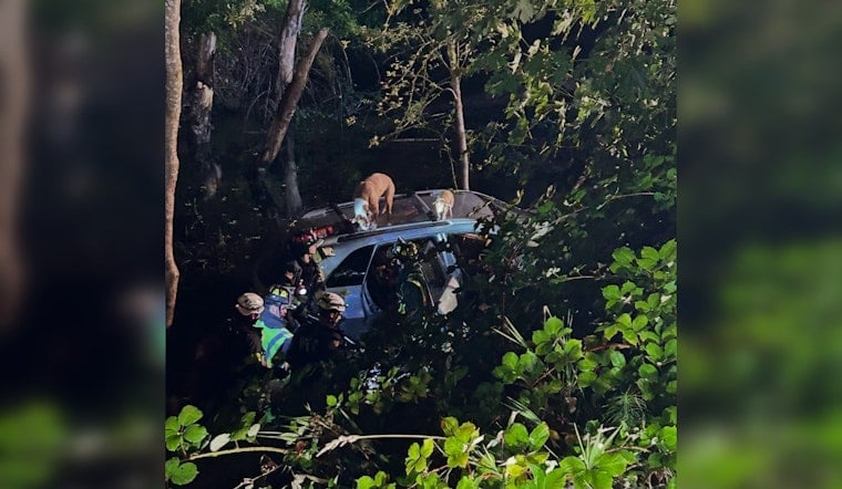 Car Plunges Into Oregon City Creek With Three People, Four Pets Inside