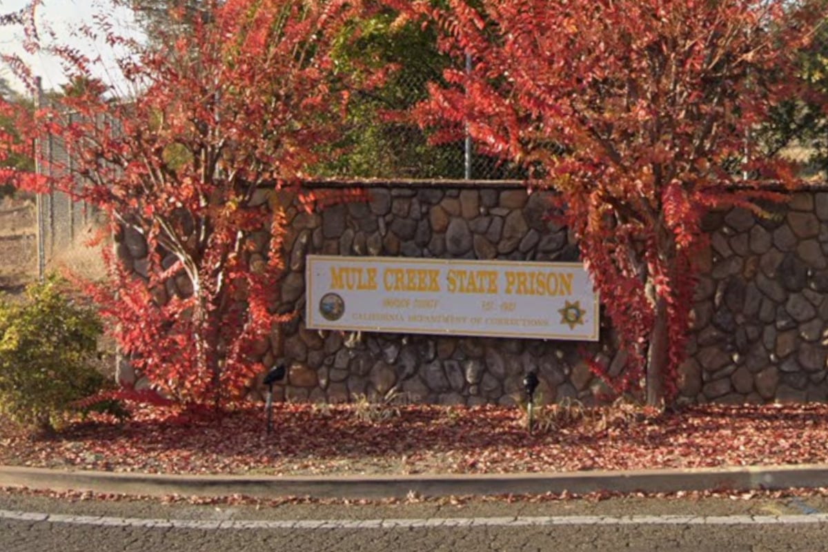 Carmichael Rapist Luis Saravia, 50, Seeks Elder Parole in Mule Creek Hearing