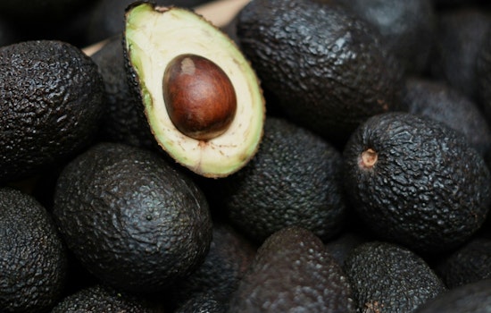 Carpinteria's Avocado Festival Turns 40 With Guac Vat, 60-Plus Bands