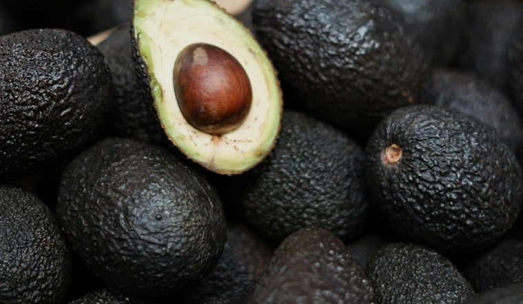 Carpinteria's Avocado Festival Turns 40 With Guac Vat, 60-Plus Bands