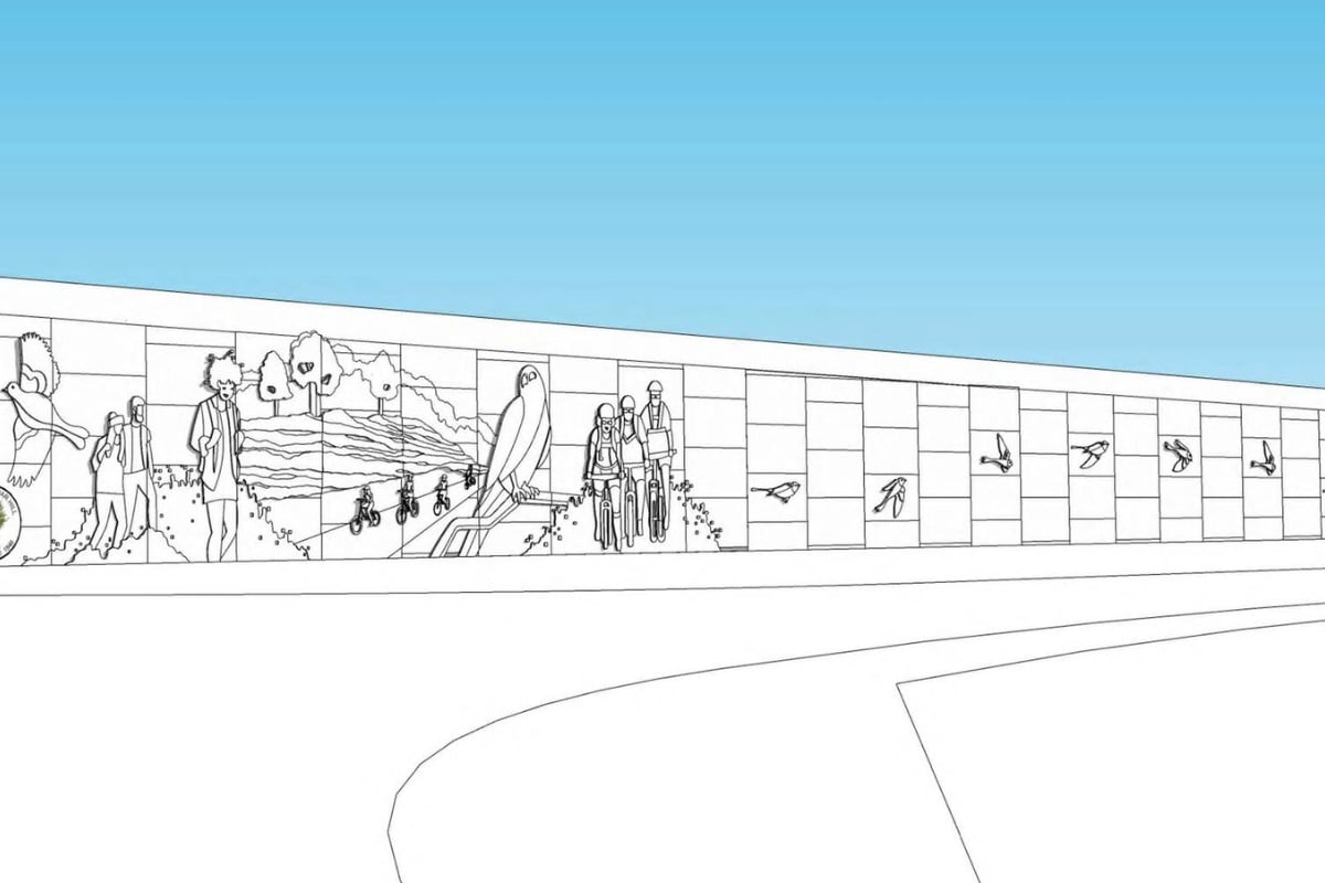 Cedar Hill Highway Overpass Will Feature Bird Murals Amid $342M Loop 9 Build