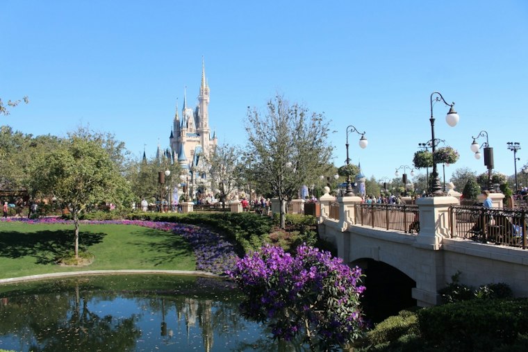 Central Florida Wish-Trip Charity Shuts Down, Leaves Families Chasing $6,383 in Costs